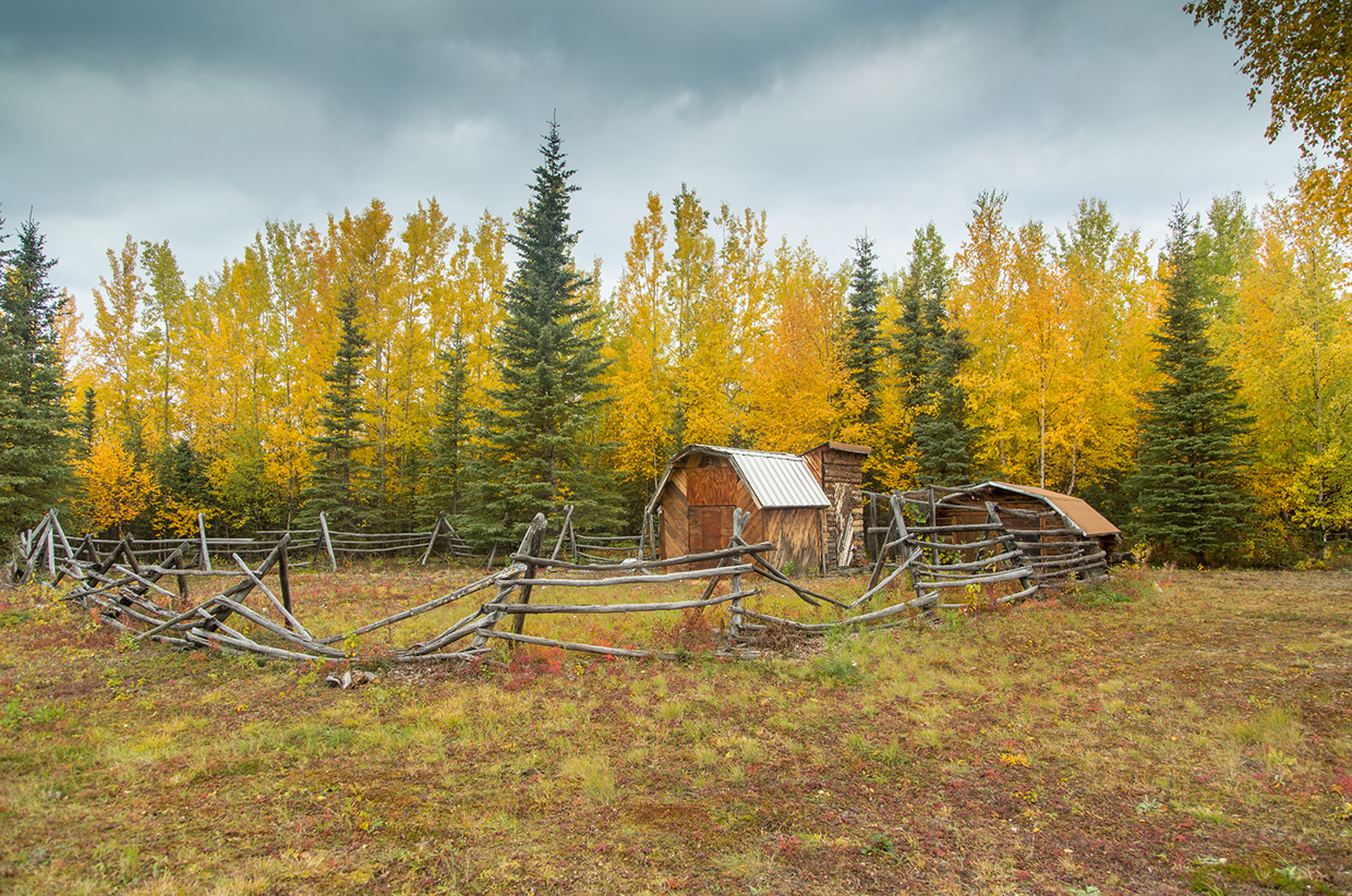 A lone homestead in the Wrangells, Alaska. Photo © Bjørn Olson
