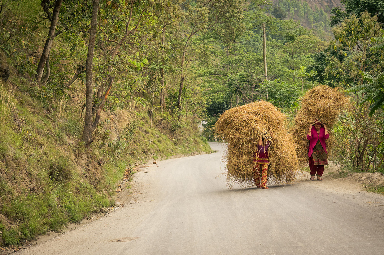 Carrying crops alongside the road to Pokhara