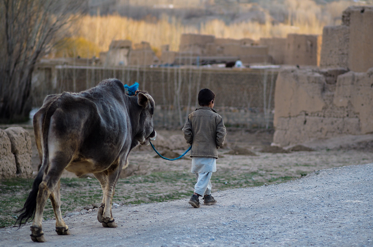 Life in Bamiyan