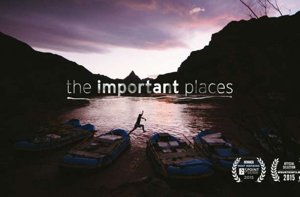 The Important Places – Forest Woodward