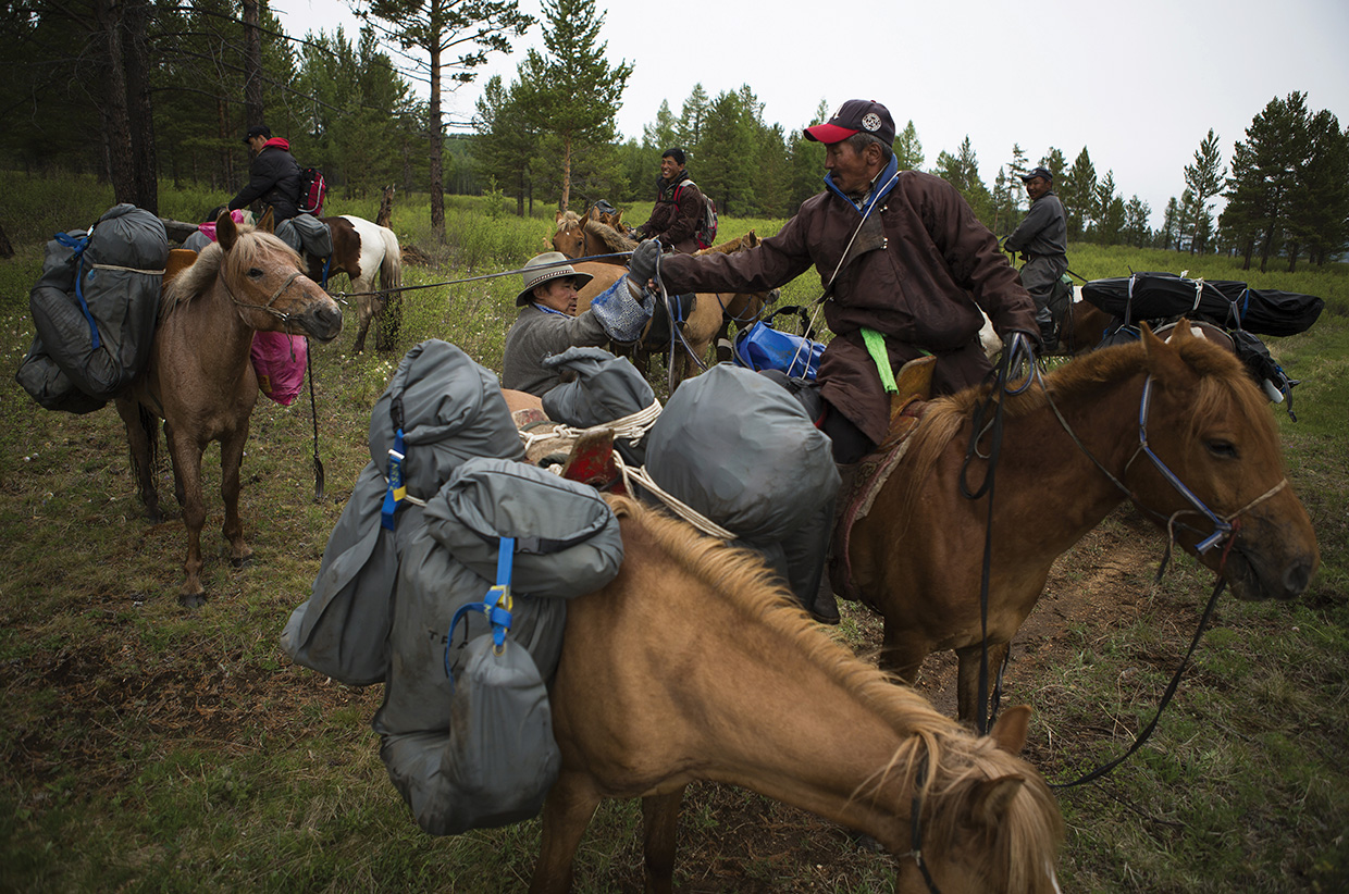 Horse packing across the marsh lands as the team travel to the headwaters of the Onon river which later becomes the Amur River.