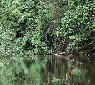 Remote River Man: Adrift in Guyana