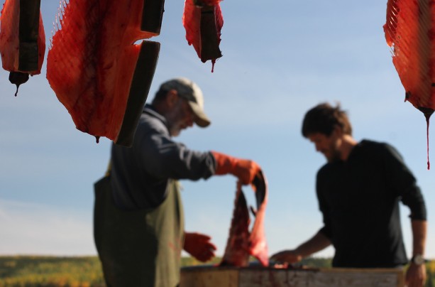 Porcupine River Expedition