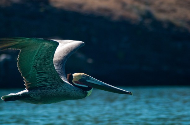 Isla Espiritu Santo
