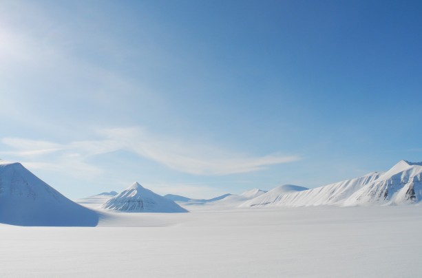 In Search of Silence