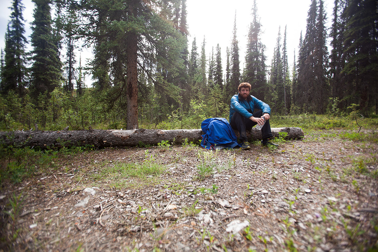 Alone in the Wild - Alaska - Photo by Dave Gill