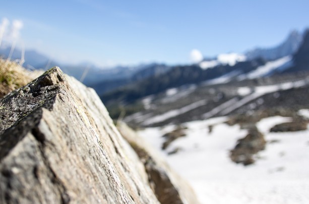 Myrtilles, Mushrooms & High Mountain Pastures