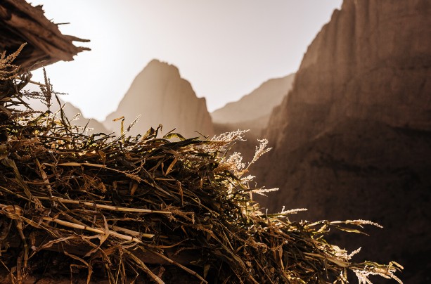 Songs of Rock and Wind