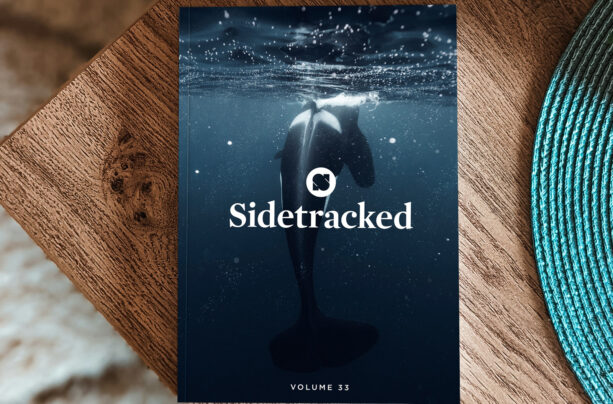 Sidetracked Magazine