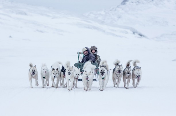 After The Dog Sled