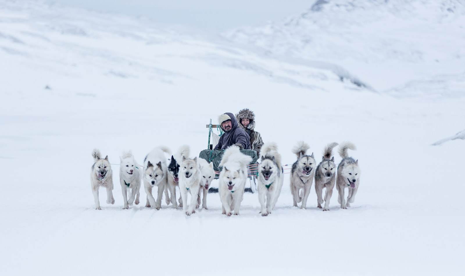 Dog sledding in Greenland. Photo by Mads Pihl