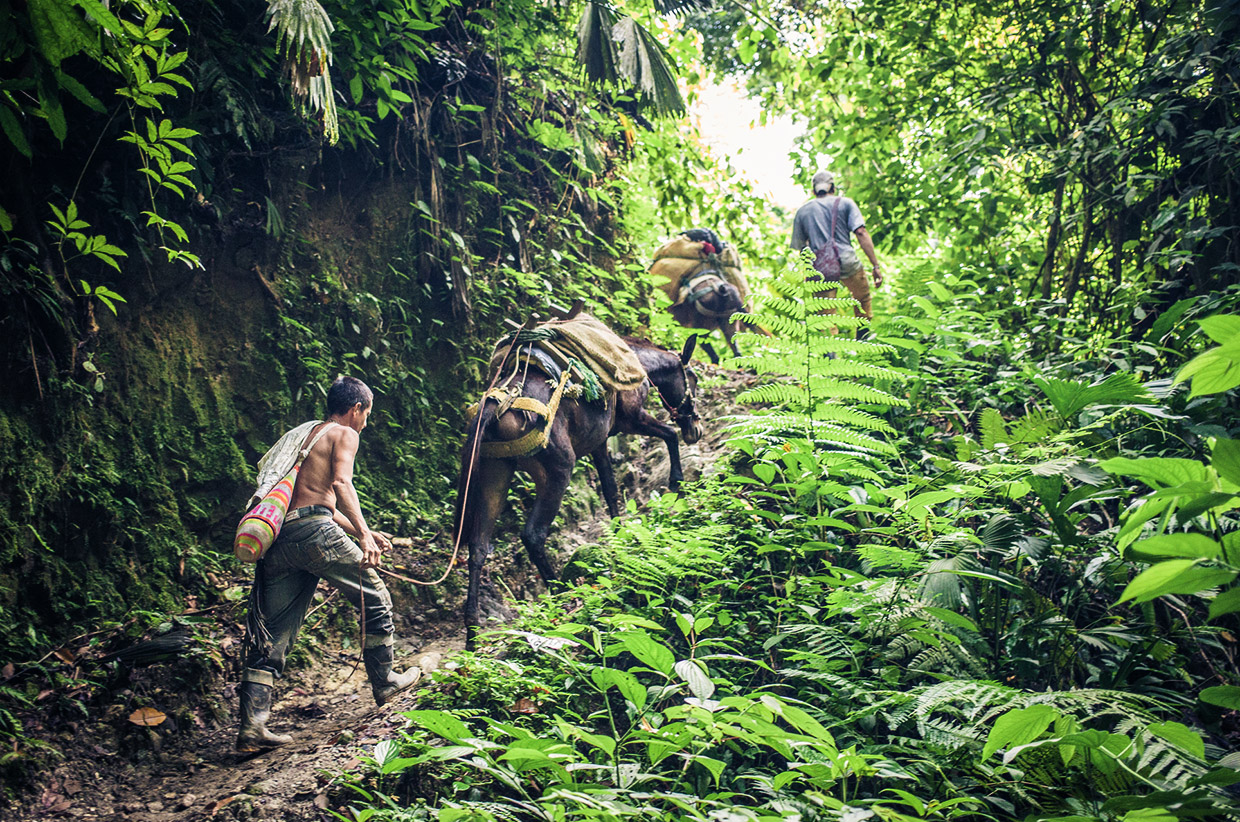 Vertrek Lodge verzameling Hiking Colombia's Lost City of Teyuna – A Sidetracked Guide