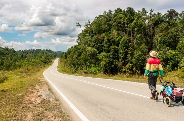 Walking Borneo