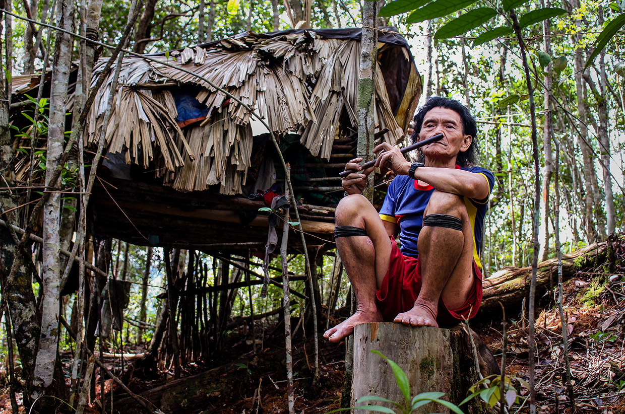 nomadic-lion-walking-borneo-04