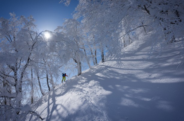 The Tao Of Pow