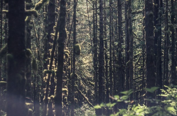 Haida Gwaii