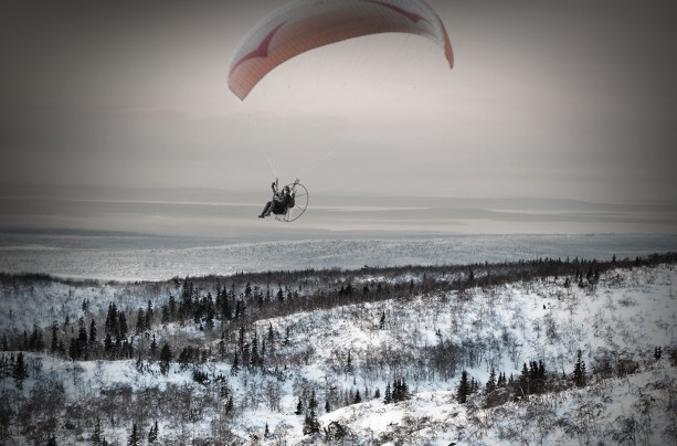 Flying with swans