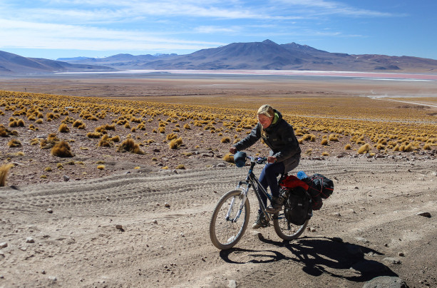 Volcanoes and Vicuñas