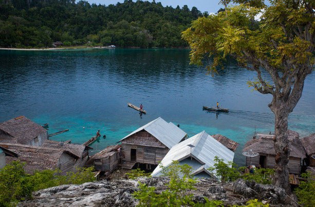 Between the Bajau and Blood Tests
