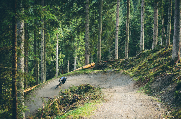 Alpine Trails