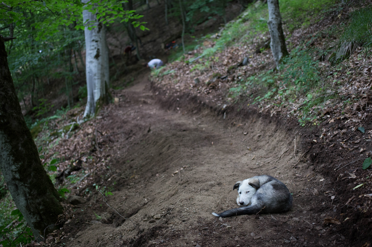 Making the Transcaucasian Trail