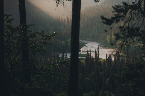 Finland – Into The True Wild Nature