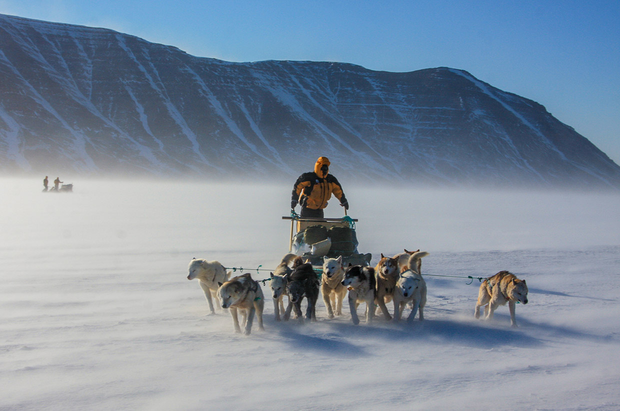 Review: Polar Eskimo by Alex Hibbert