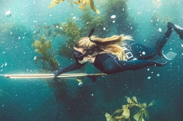 Ocean Life