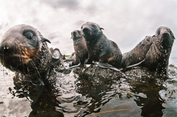 Unexplored Territories – An Interview with Kirill Umrikhin