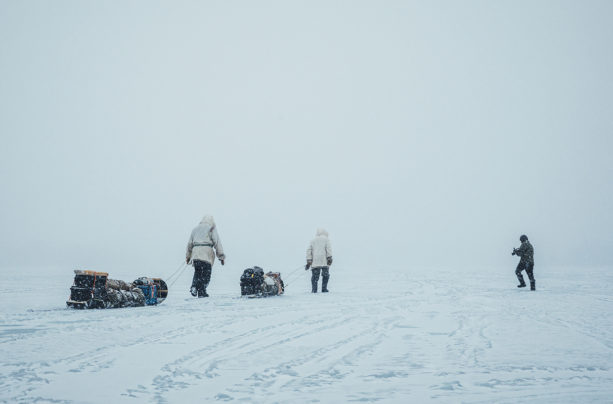 Lure of the North
