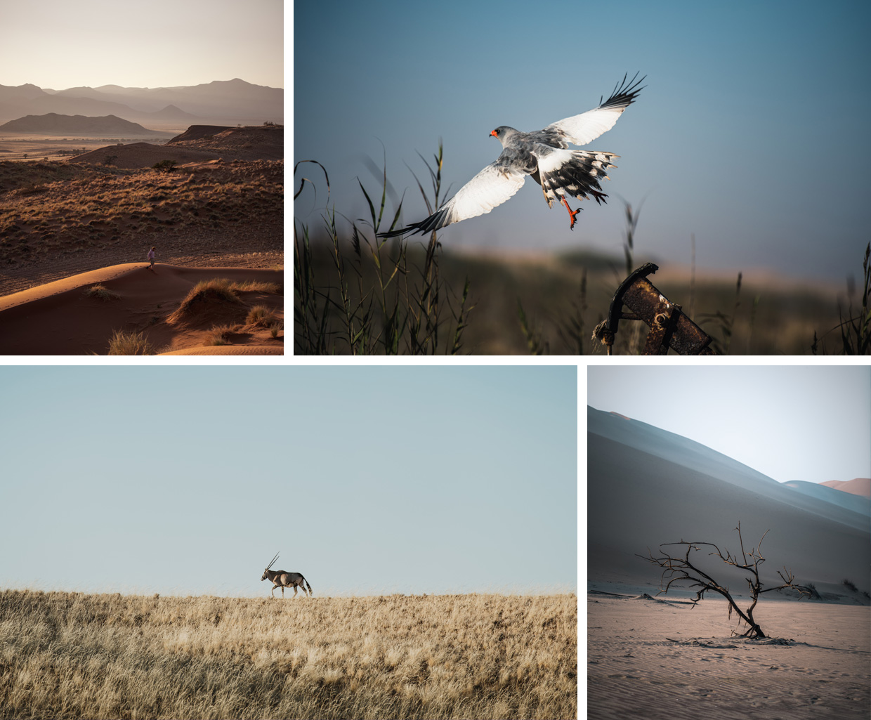 Perspectives of Namibia