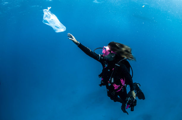 Sarah Gauthier – Taking the Plunge Against Plastic