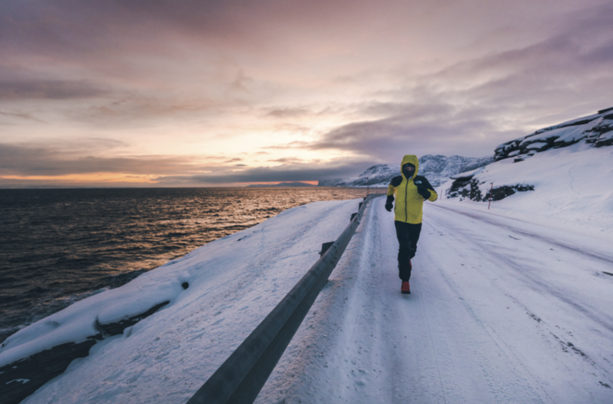 Run for the Arctic