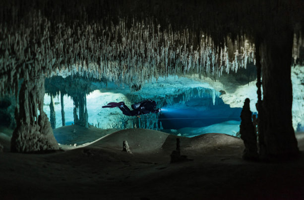 Diving in the Dark