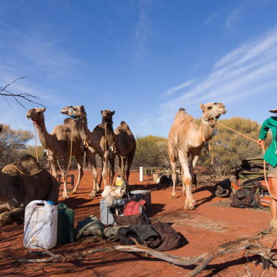 Crossing Australia: Sophie Matterson and her five camels
