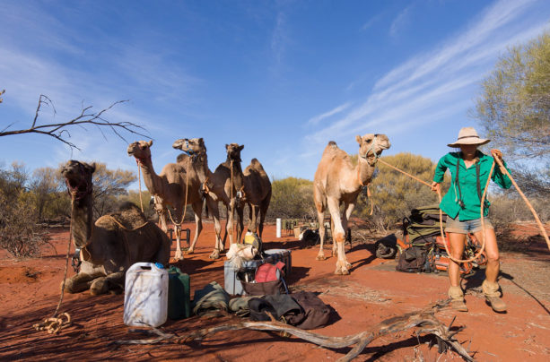 Crossing Australia: Sophie Matterson and her five camels