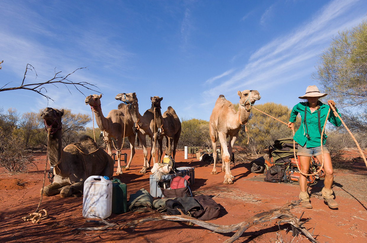 Crossing Australia: Sophie Matterson and her five camels