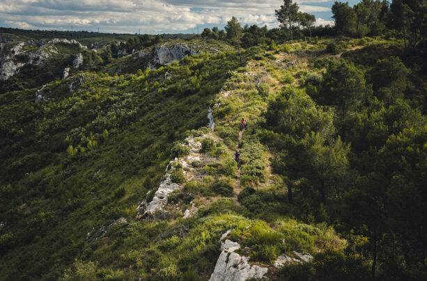 Le Tour des Alpilles