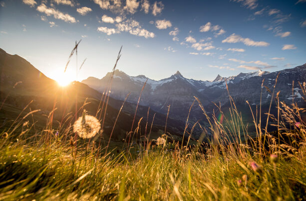 Destination Guide: Region of Bernese Oberland