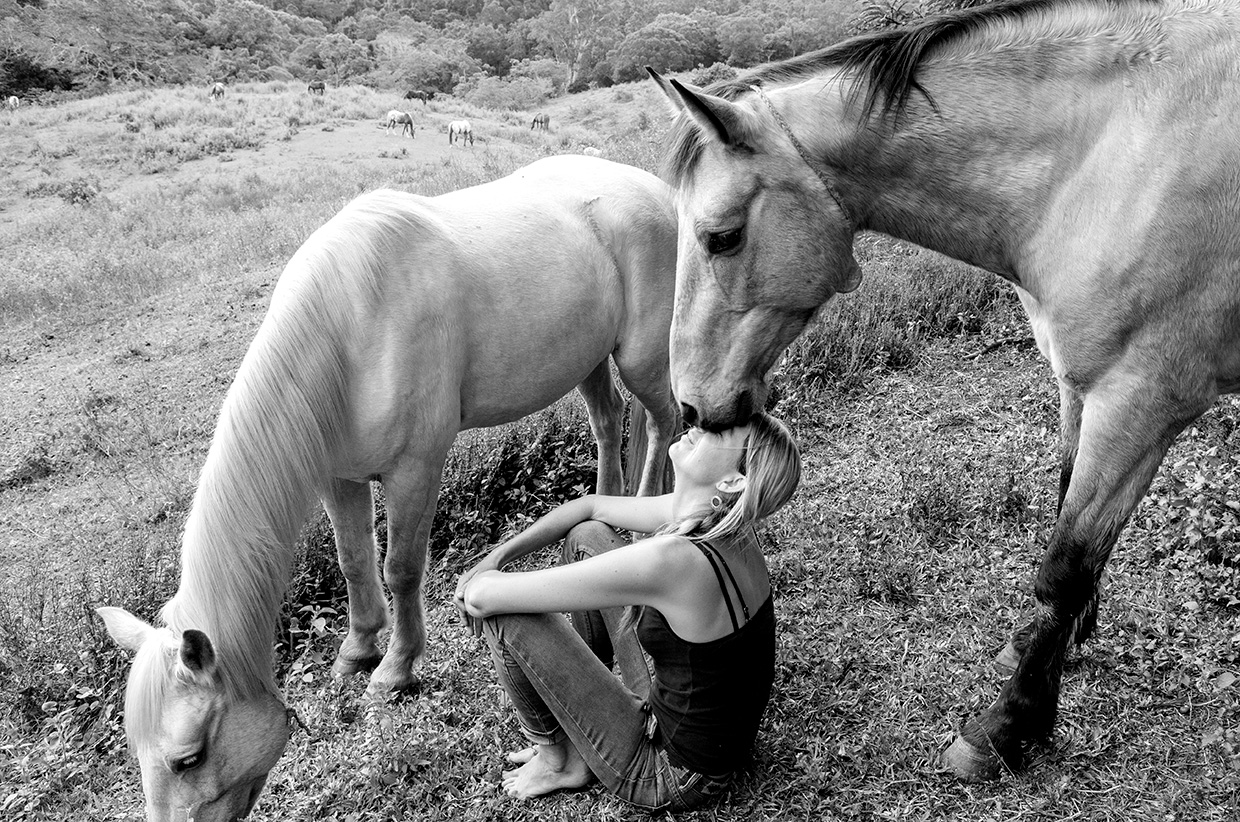 Wild at Heart