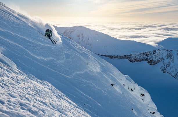 Arctic 12