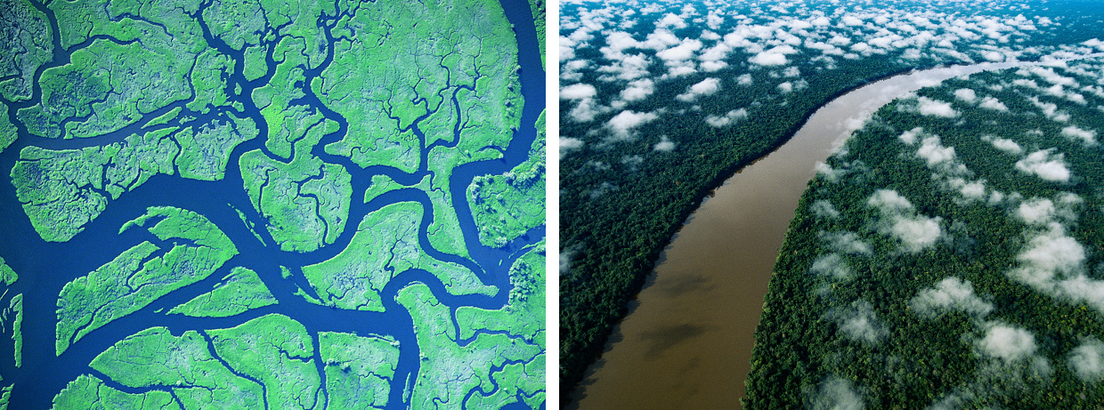 River: The Arteries of the Planet