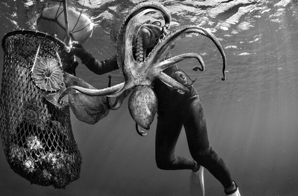 Women of the Sea