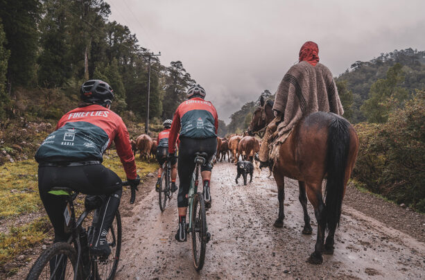 The Patagonian Guest