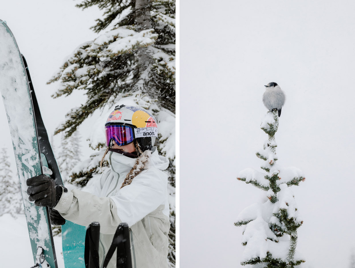 Arc’teryx Backcountry Academy