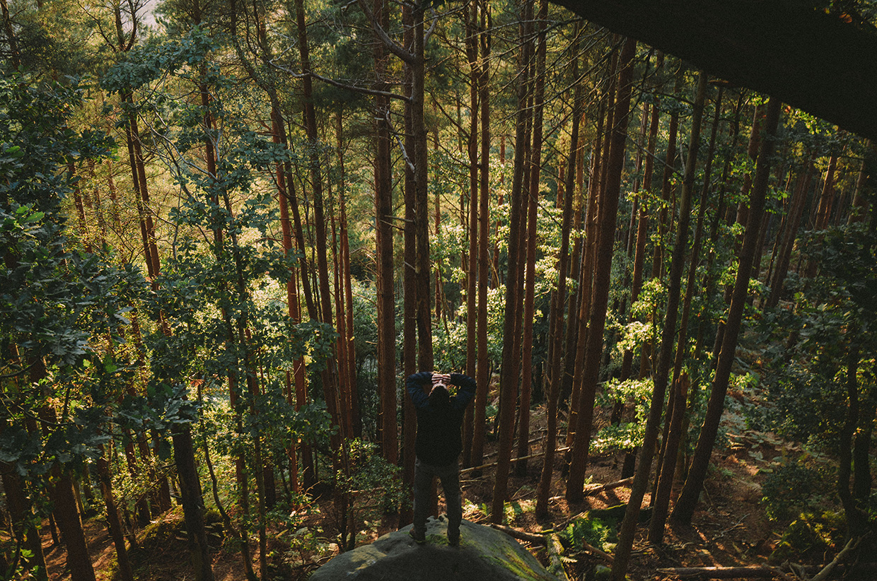 Solitude