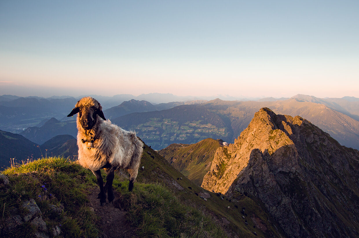 Zillertal