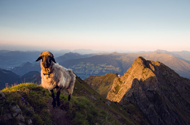 Zillertal