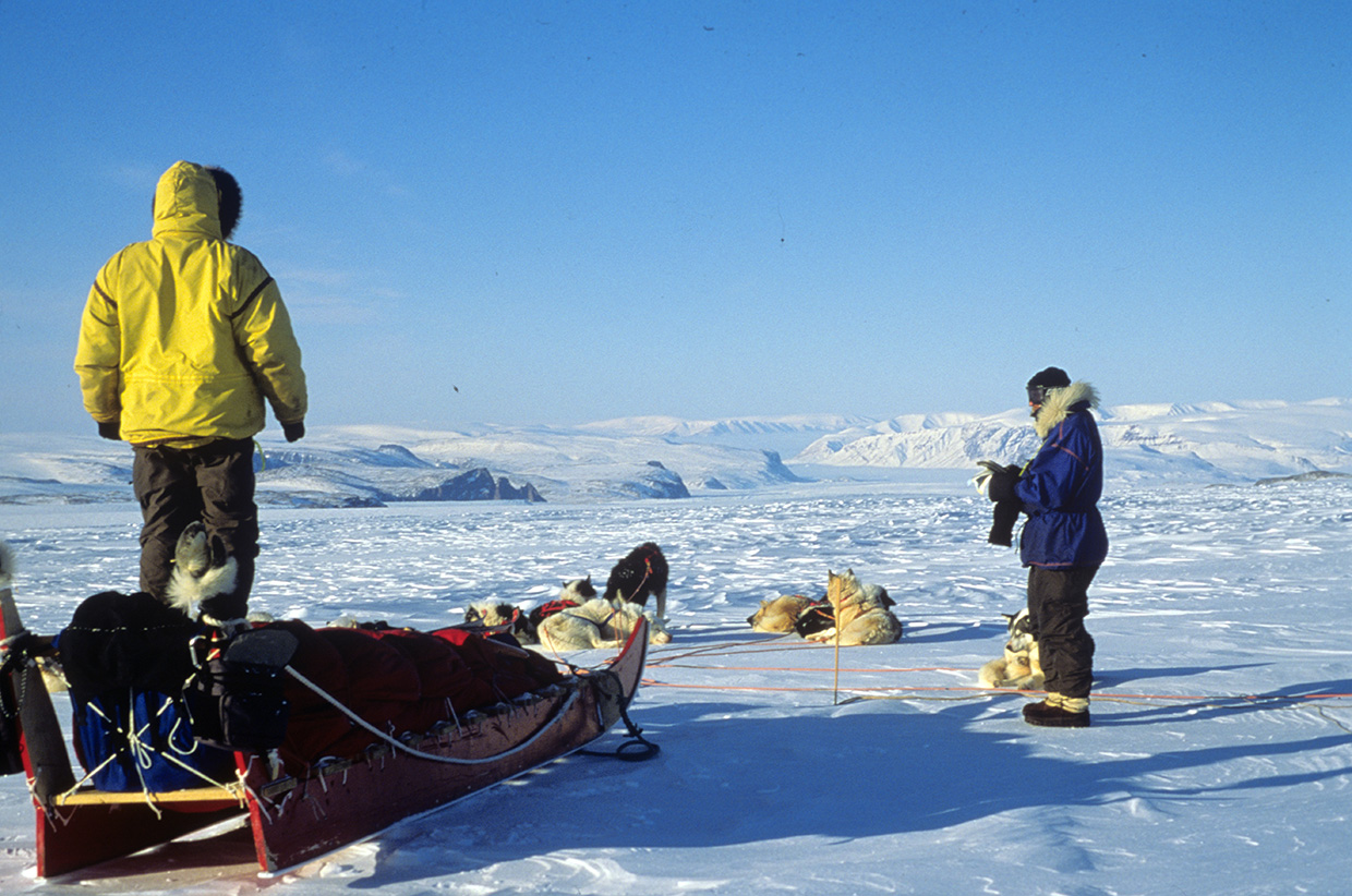 Returning to the Ice