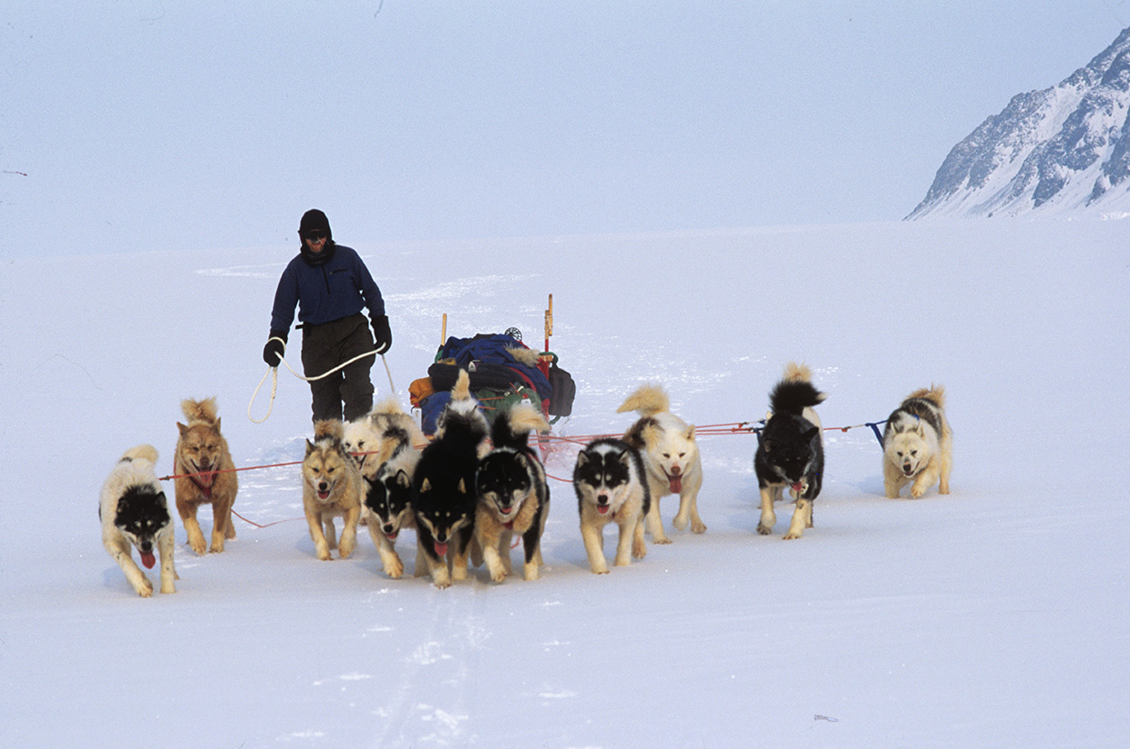 Returning to the Ice
